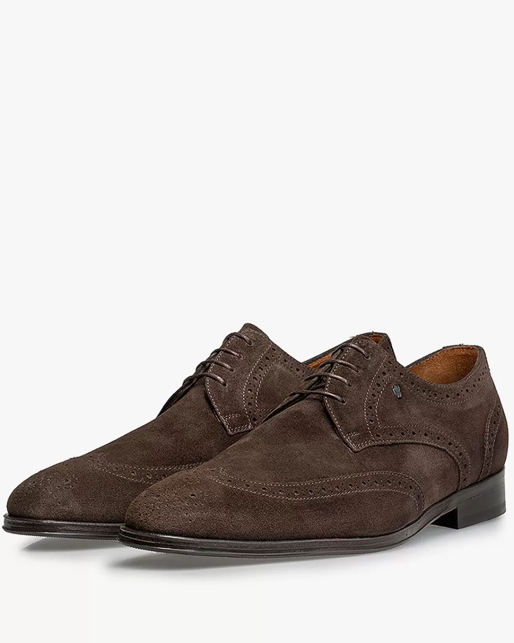 Floris van Bommel Brogues | Business Schuhe>Matra 06.02 Dunkelbraun