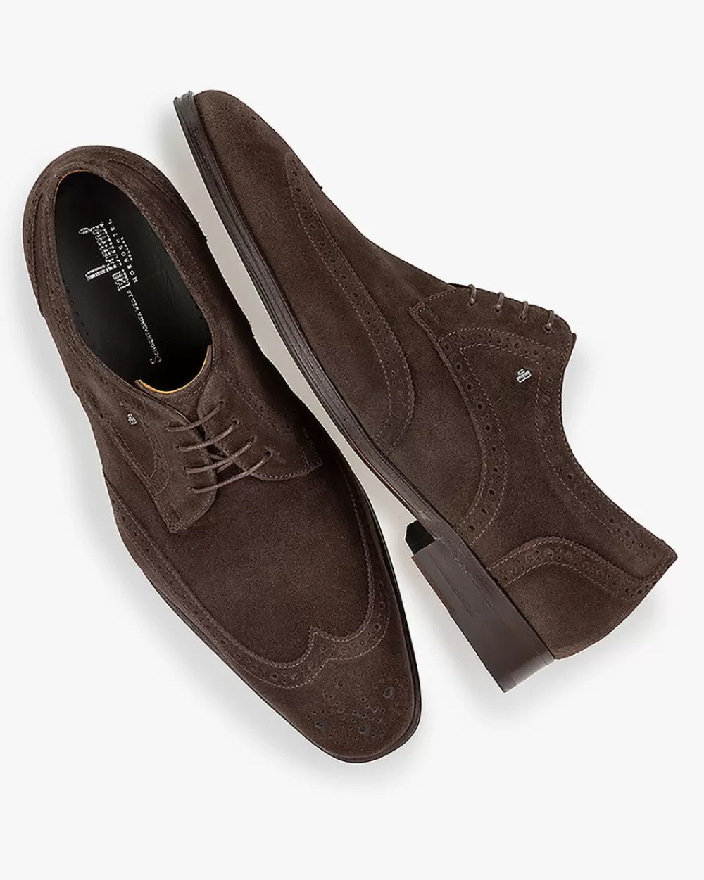 Floris van Bommel Brogues | Business Schuhe>Matra 06.02 Dunkelbraun